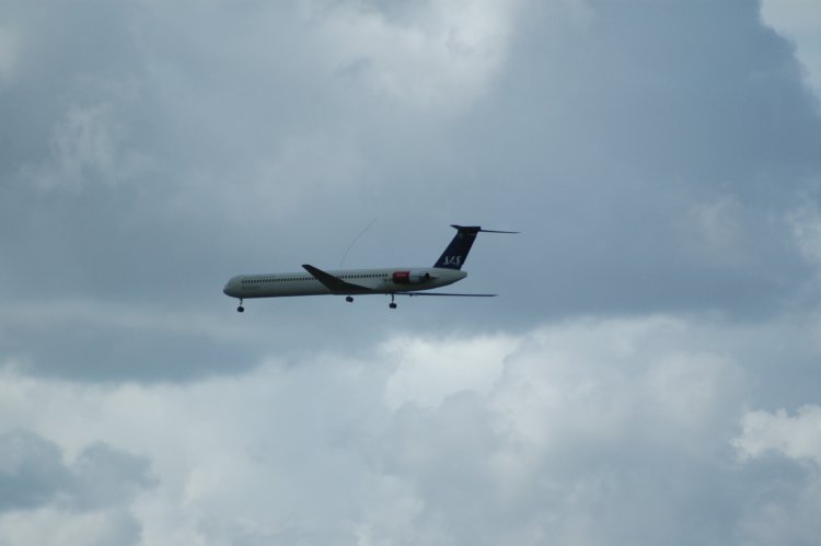 DSC_0099.JPG