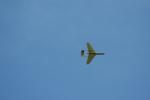 DSC_0048.JPG