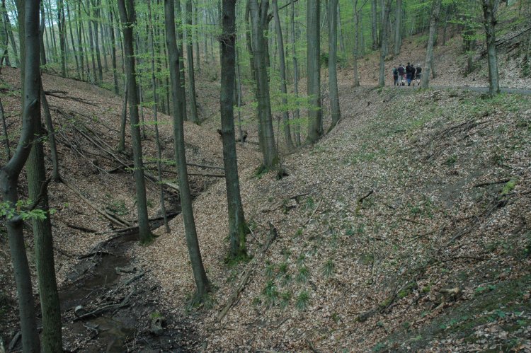 DSC_0010.JPG