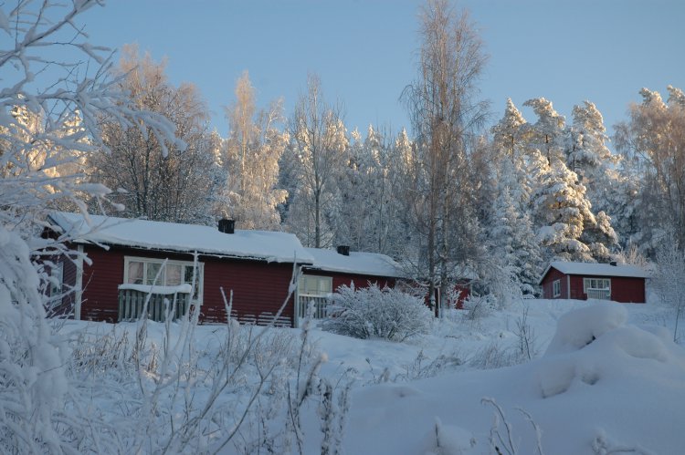 DSC_0246.JPG