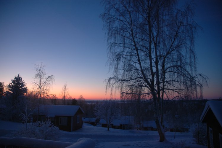 DSC_0256.JPG