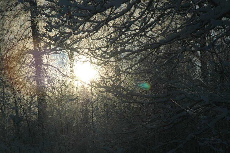 DSC_0294.JPG