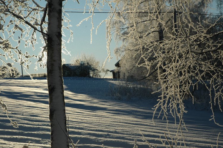 DSC_0300.JPG