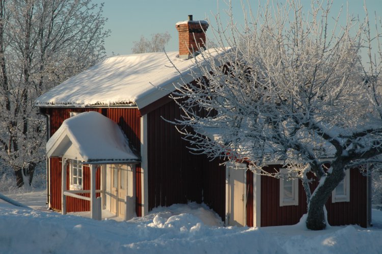DSC_0322.JPG