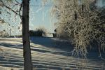 DSC_0300.JPG