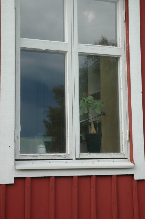 DSC_0244.JPG