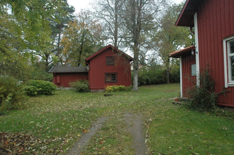 DSC_0169.JPG
